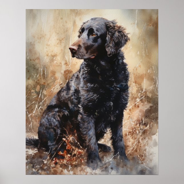 Curly Coated Retriever Dog Art Print Poster (Front)