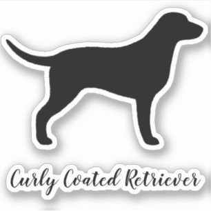 Curly Coated Retriever Dog Silhouette Vinyl