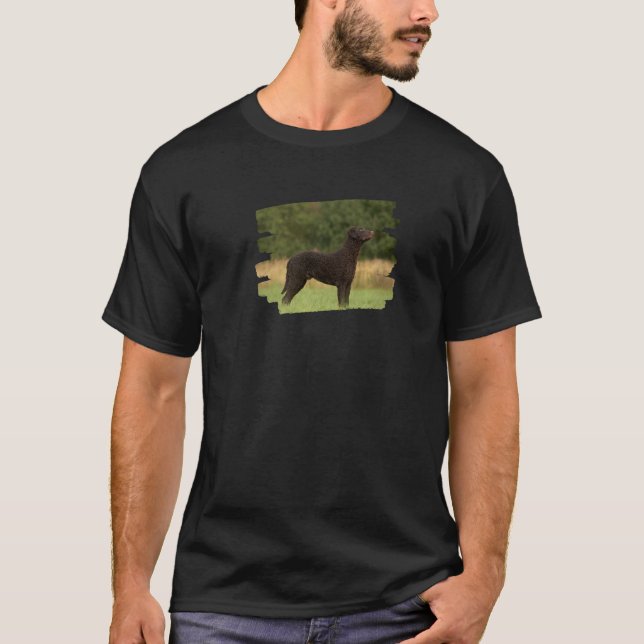 Curly Coated Retriever Dog T-Shirt (Front)