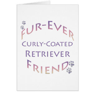 Curly-Coated Retriever Furever