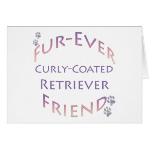 Curly-Coated Retriever Furever