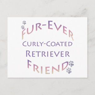 Curly-Coated Retriever Furever Postcard