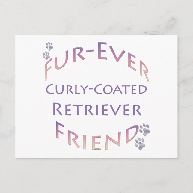 Curly-Coated Retriever Furever Postcard (Front)