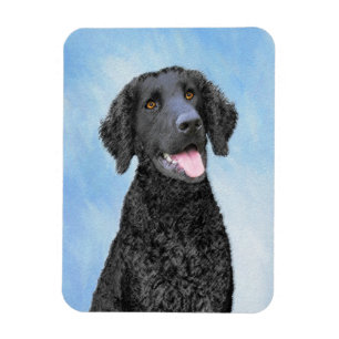 Curly-Coated Retriever Painting - Original Dog Art Magnet