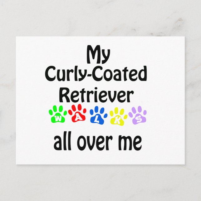Curly-Coated Retriever Walks Design Postcard (Front)