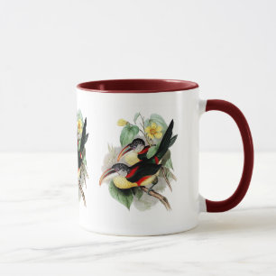 Curly-crested Aracari Mug