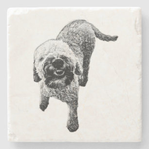 Curly Lagotto Coaster – Grinning Dog Art