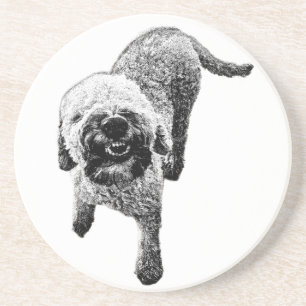 Curly Lagotto Coaster – Grinning Dog Art
