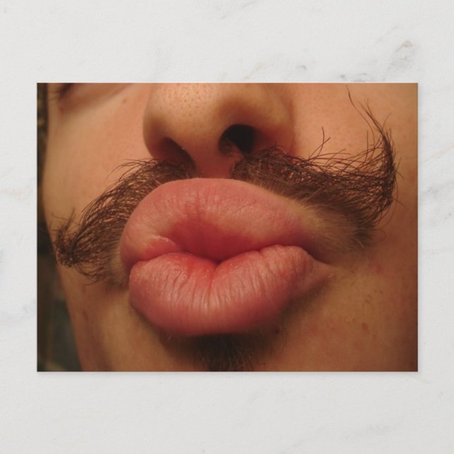 Curly Moustache Smooches Postcard (Front)