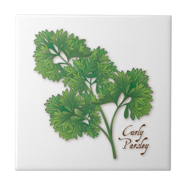 Curly Parsley Ceramic Tile (Front)