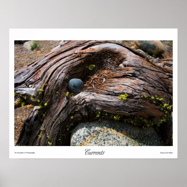 Currents Prints (Front)