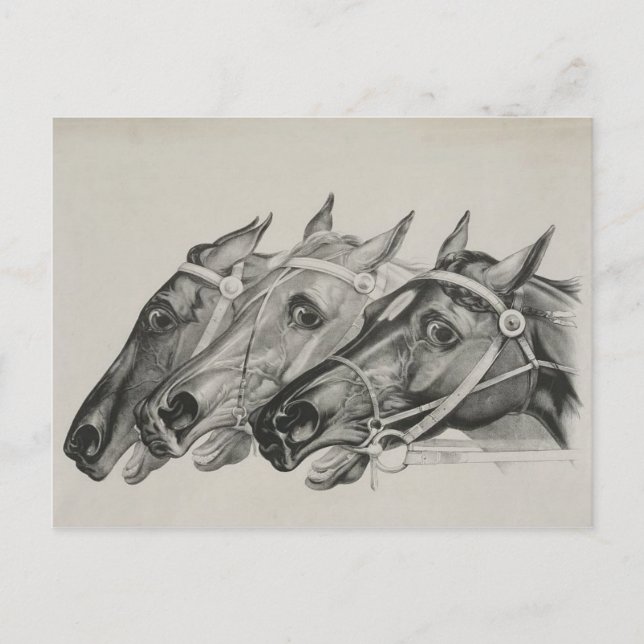 currier & ives  --The Leaders postcard (Front)