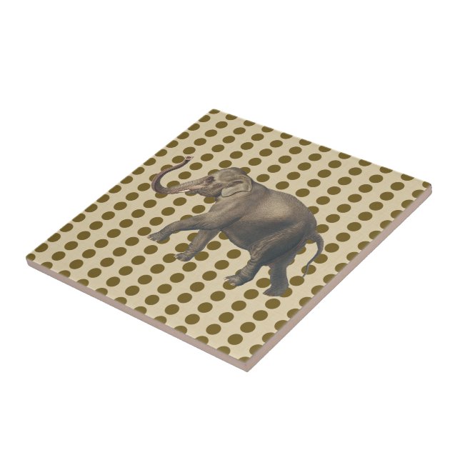 Curry Spice Moods Dots with Elephant Ceramic Tile (Side)