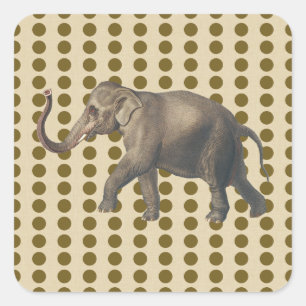 Curry Spice Moods Dots with Elephant Square Sticker