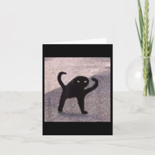 Cursed Cat Memes Cursed Cat Angry As Good Meme  Card