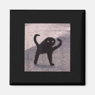 Cursed Cat Memes Cursed Cat Angry As Good Meme Magnet