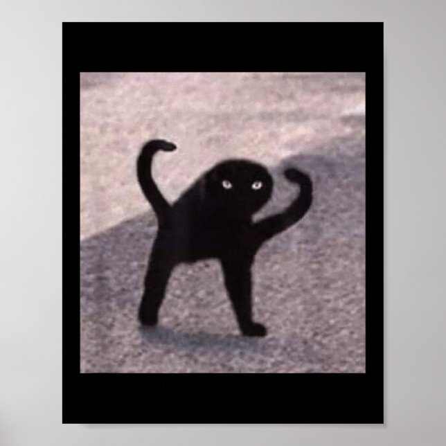 Cursed Cat Memes Cursed Cat Angry As Good Meme  Poster (Front)