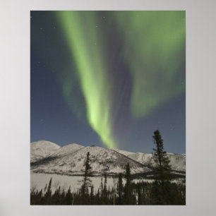 Curtains of aurora borealis dance across the sky poster