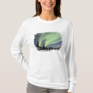 Curtains of green aurora borealis in the sky T-Shirt