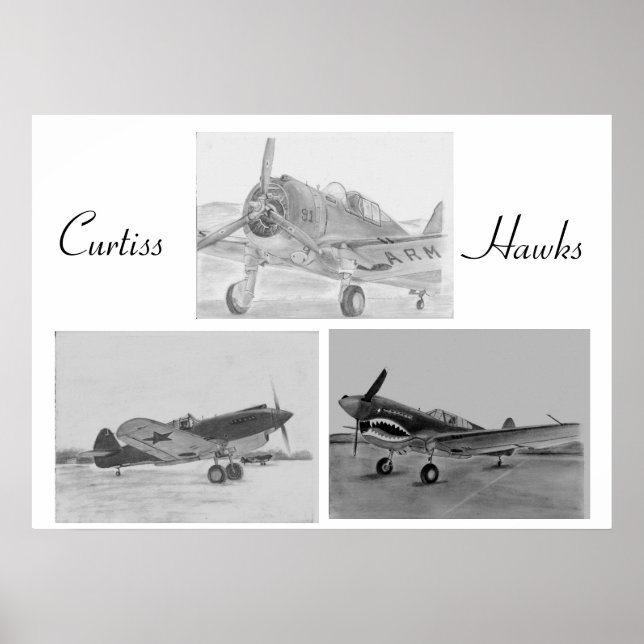 Curtiss Hawk family poster (Front)