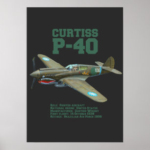 Curtiss P-40 Warhawk   WW2 Plane Poster