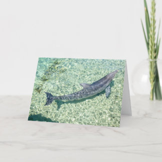 Curved Dolphin Underwater Plain customised Thank You Card