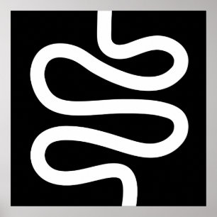 Curvy Line - White on Black Poster