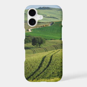 Curvy lines in green Tuscany