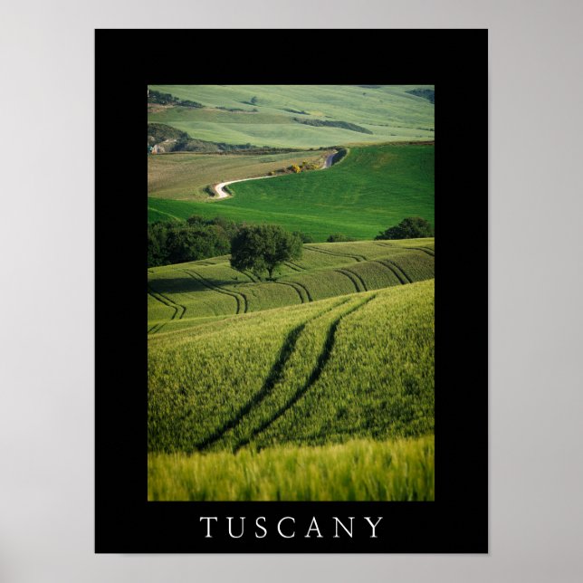 Curvy lines in green Tuscany black poster (Front)