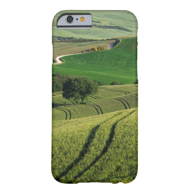 Curvy lines in green Tuscany iPhone case (Back)