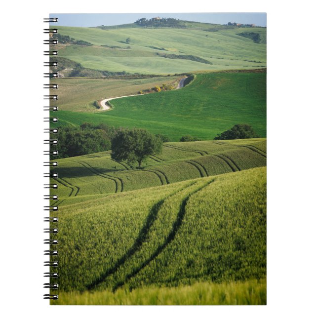 Curvy lines in green Tuscany notebook (Front)