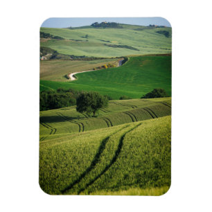 Curvy lines in green Tuscany vertical magnet