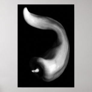 Curvy Pepper Close Up Black and White Photography Poster