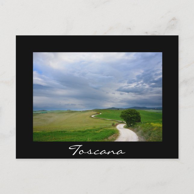 Curvy road in Tuscany black postcard (Front)