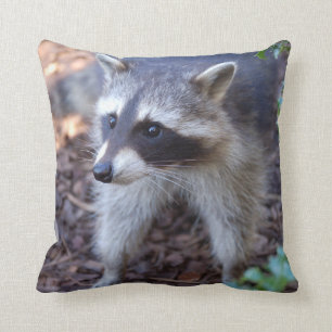 cushion