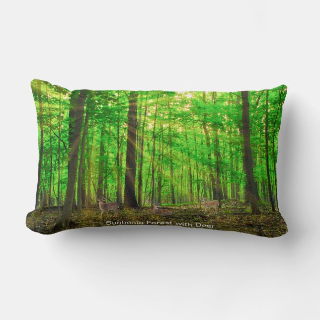 Cushion (Front)