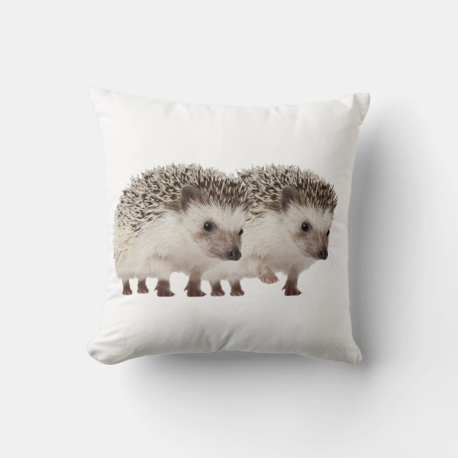 Cushion (Front)