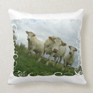 cushion cows