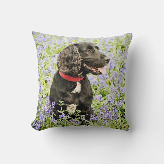 cushion with black spaniel in bluebells (Front)