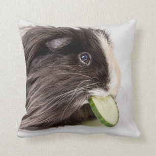 Cushion with cute guinea pig eating cucumber