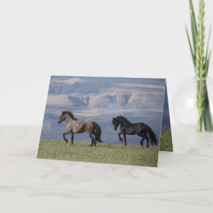 Custer and Galaxy - Wild Horse Greeting Card