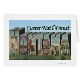 Custer Nat'l Forest, Montana