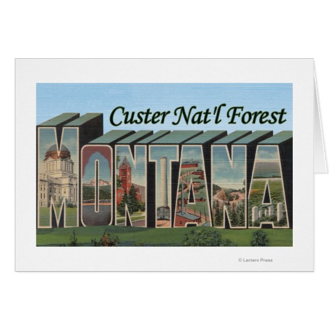 Custer Nat'l Forest, Montana (Front Horizontal)