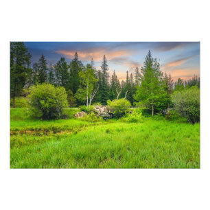 Custer State Park Legion Lake Area South Dakota Photo Print