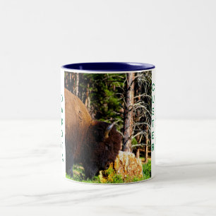 Custer State Park mug II