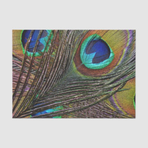 Custom 10lb Tissue Paper, PEACOCK FEATHER Tissue Paper