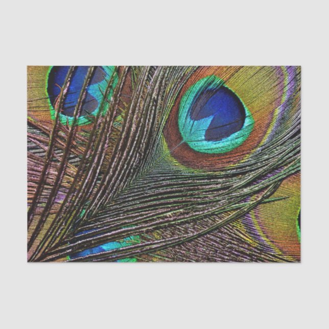 Custom 10lb Tissue Paper, PEACOCK FEATHER Tissue Paper (Front)
