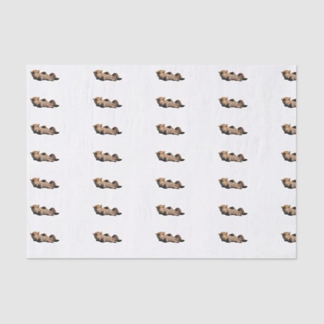 Custom 10lb Tissue Paper, White with bear cub Paper (Front)