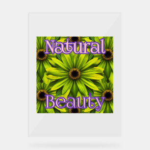 Custom 18" x 24" Acrylic Sign