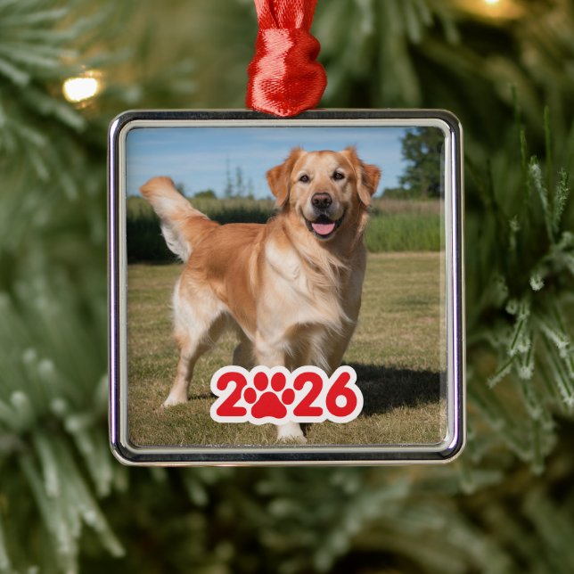 Custom 2026 Pet Photo Metal Ornament (Tree)